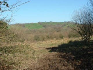  Parle de nuestro sitio 